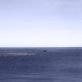 Thumbnail for version as of 13:26, 17 March 2025